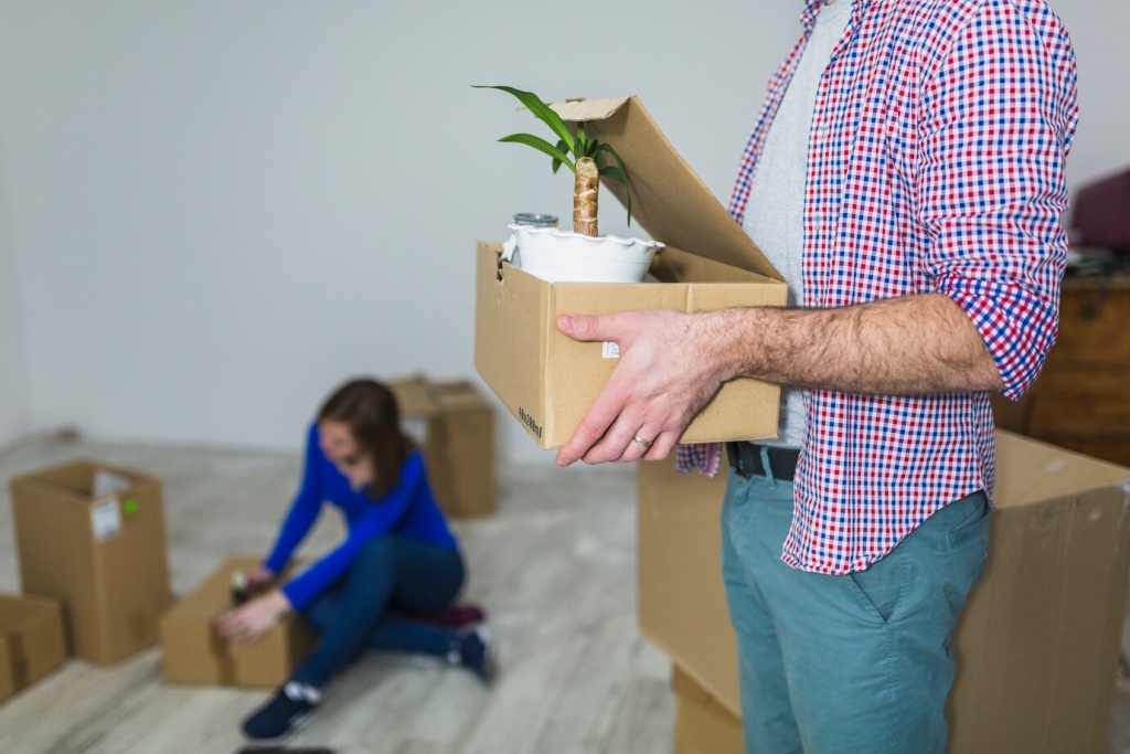 crop-man-holding-plant-box_23-2147782401.jpg коробки